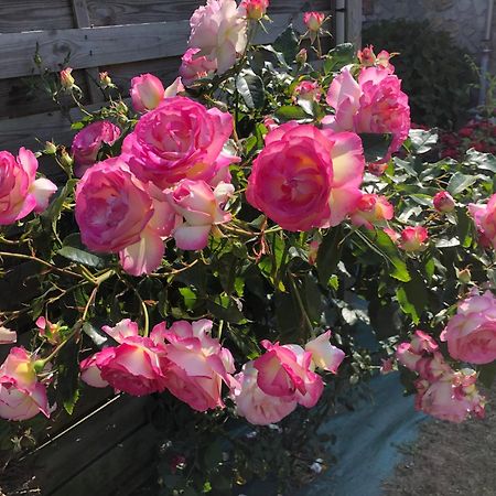 Grand-Fougeray Les Hortensias المظهر الخارجي الصورة